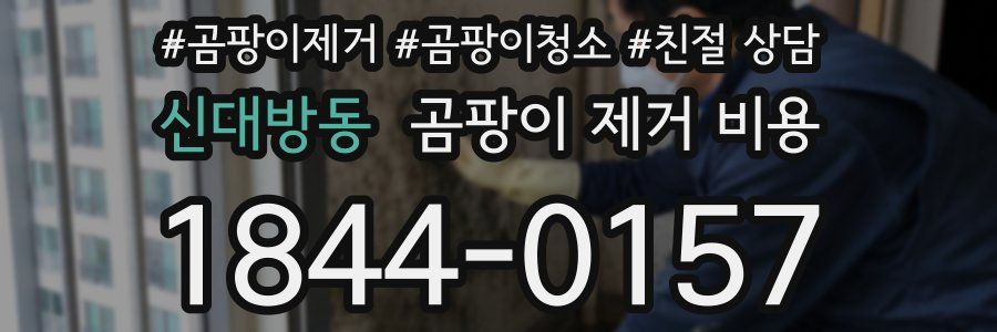 신대방동 곰팡이 제거 비용