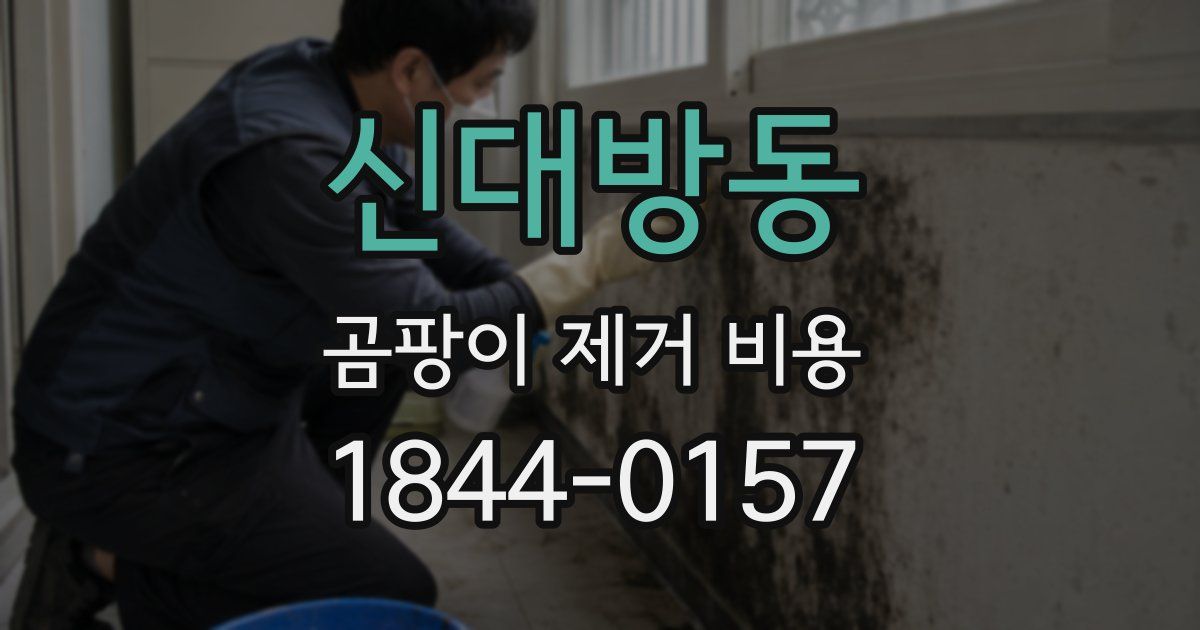 신대방동 곰팡이 제거 비용