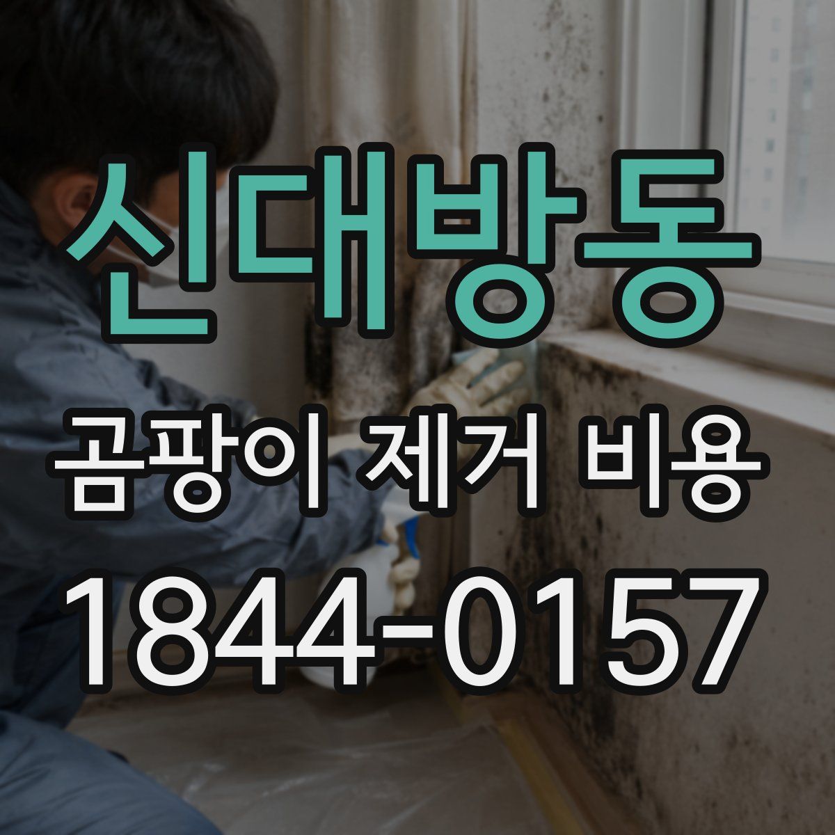 신대방동 곰팡이 제거 비용