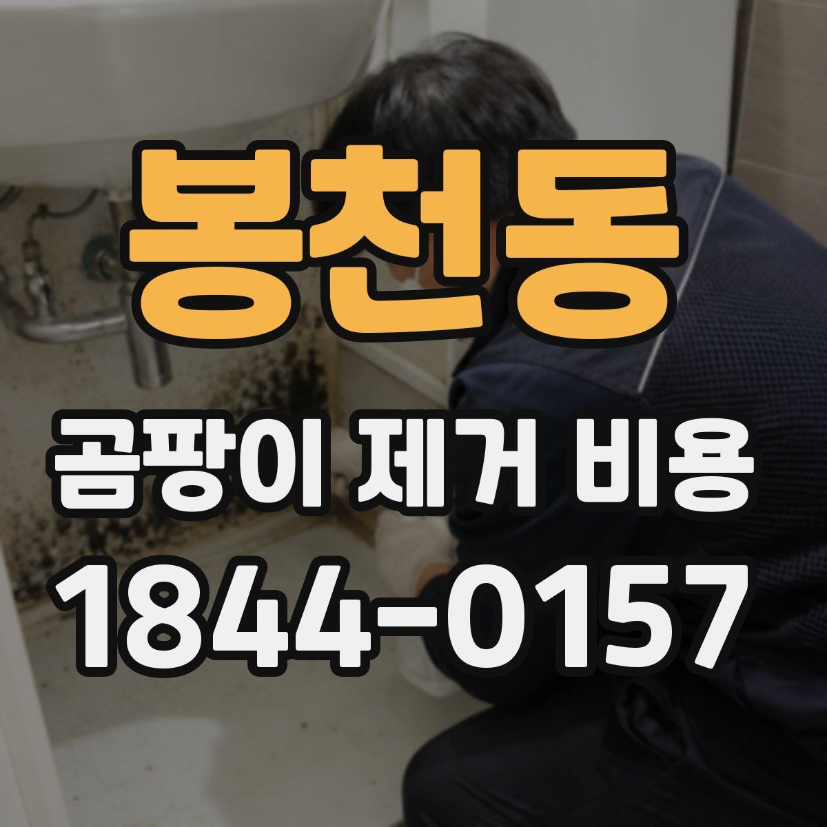봉천동 곰팡이 제거 비용