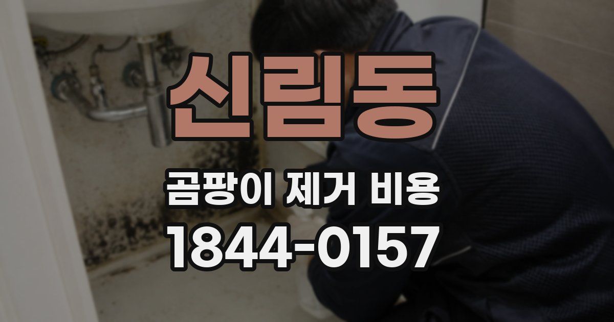 신림동 곰팡이 제거 비용