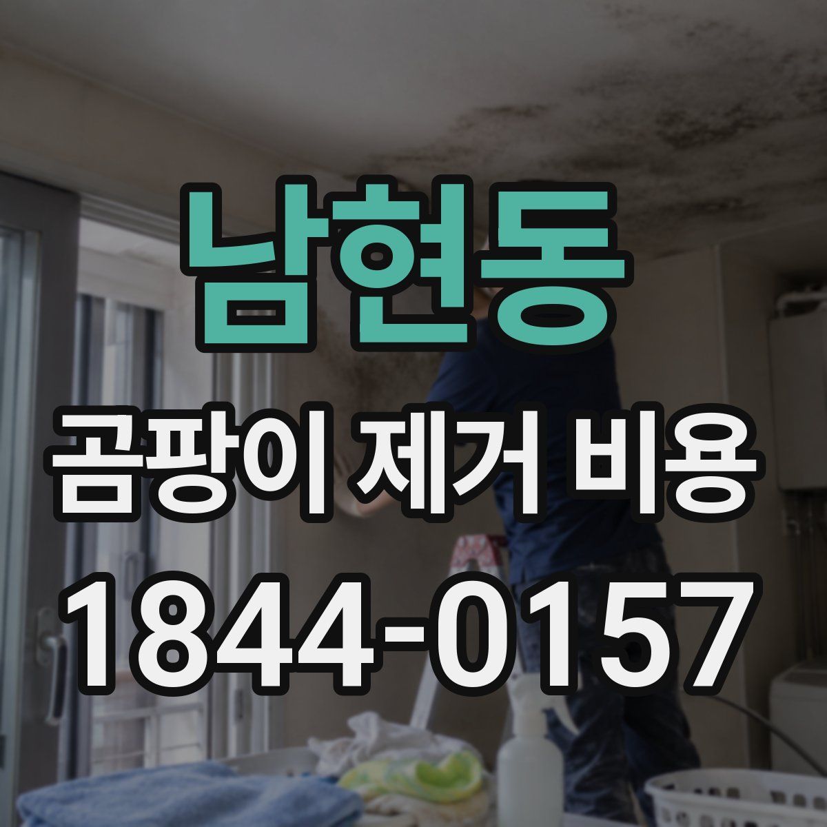 남현동 곰팡이 제거 비용