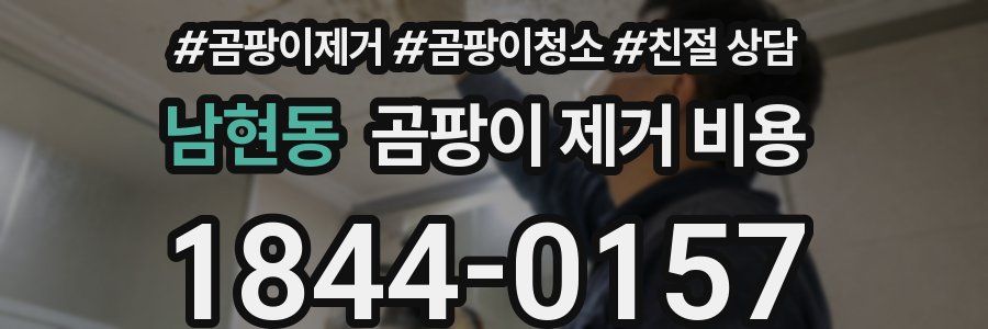 남현동 곰팡이 제거 비용