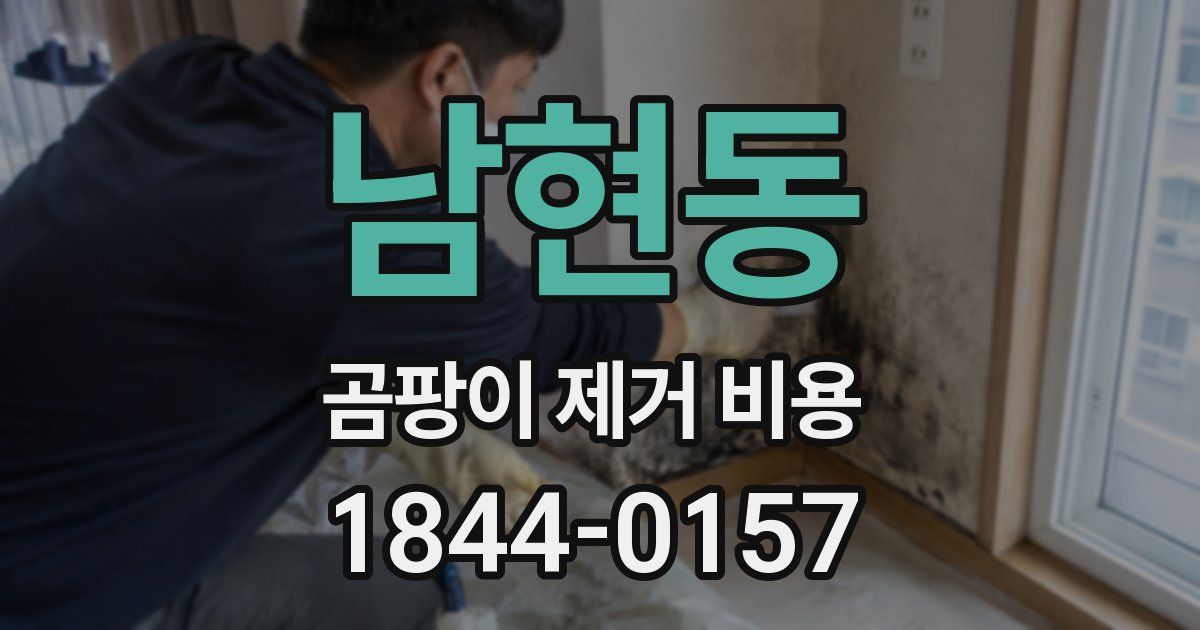 남현동 곰팡이 제거 비용