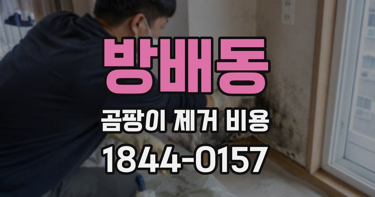 방배동 곰팡이 제거 비용
