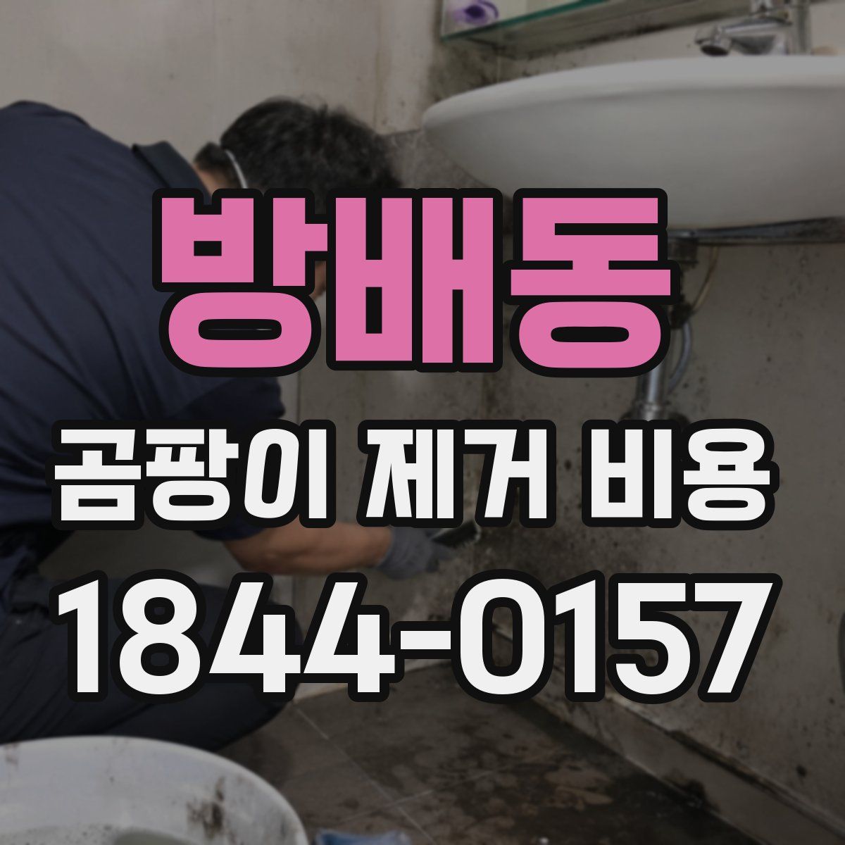 방배동 곰팡이 제거 비용