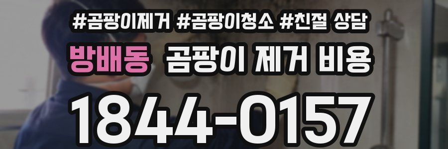 방배동 곰팡이 제거 비용