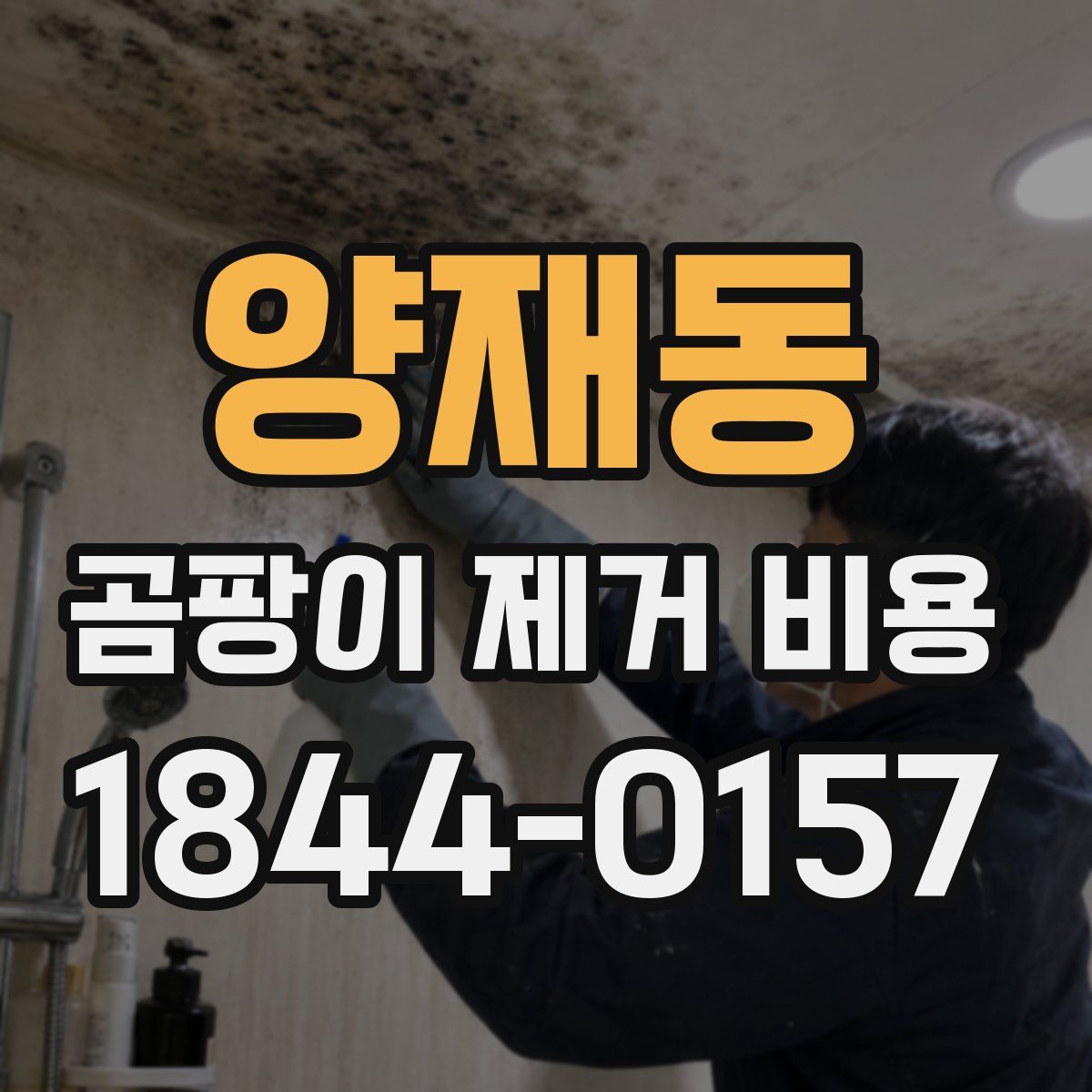 양재동 곰팡이 제거 비용