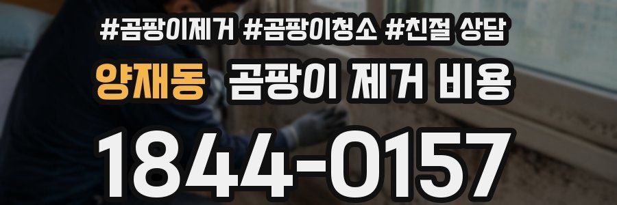 양재동 곰팡이 제거 비용