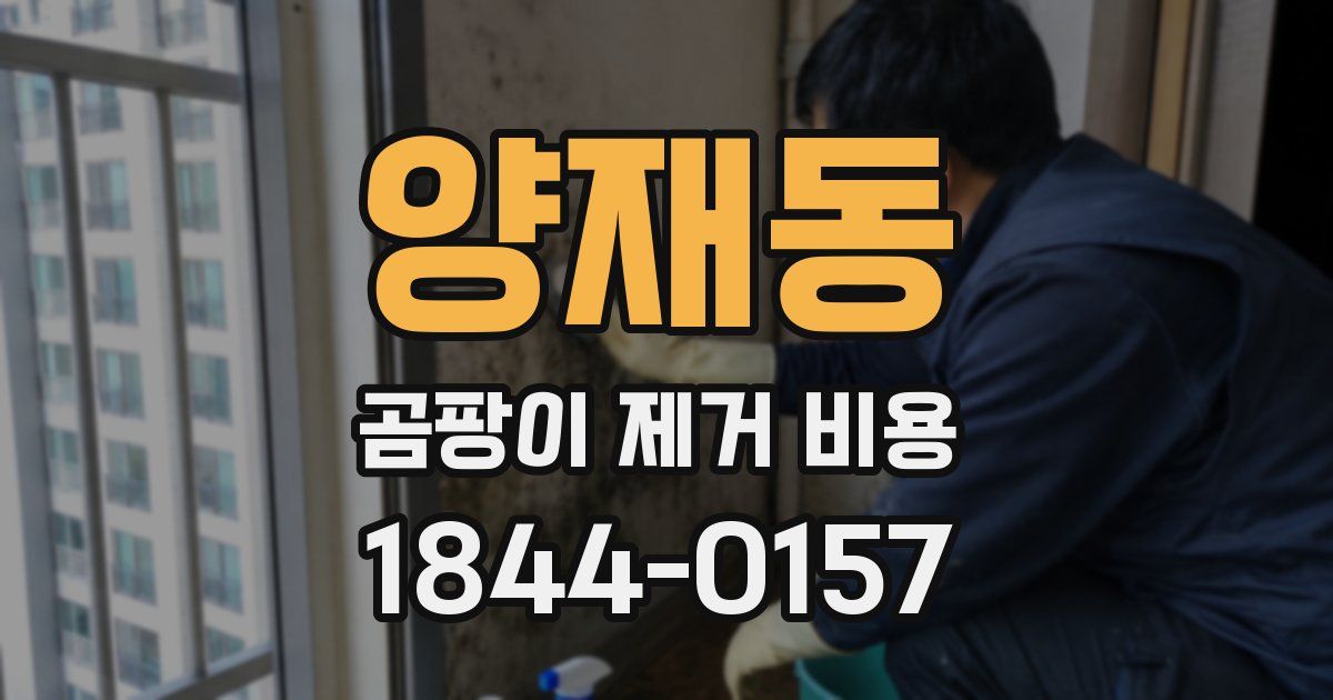 양재동 곰팡이 제거 비용