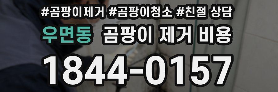 우면동 곰팡이 제거 비용