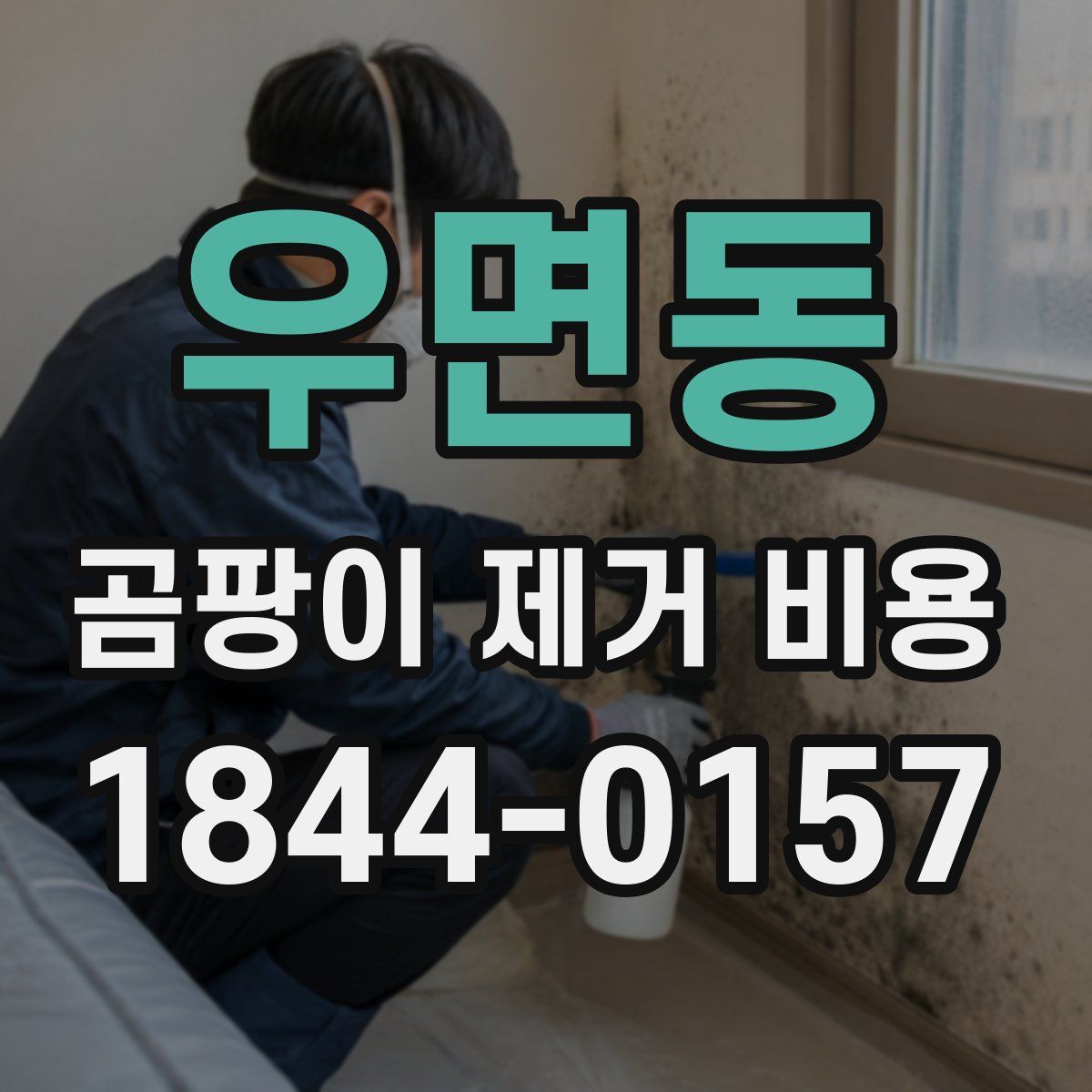 우면동 곰팡이 제거 비용