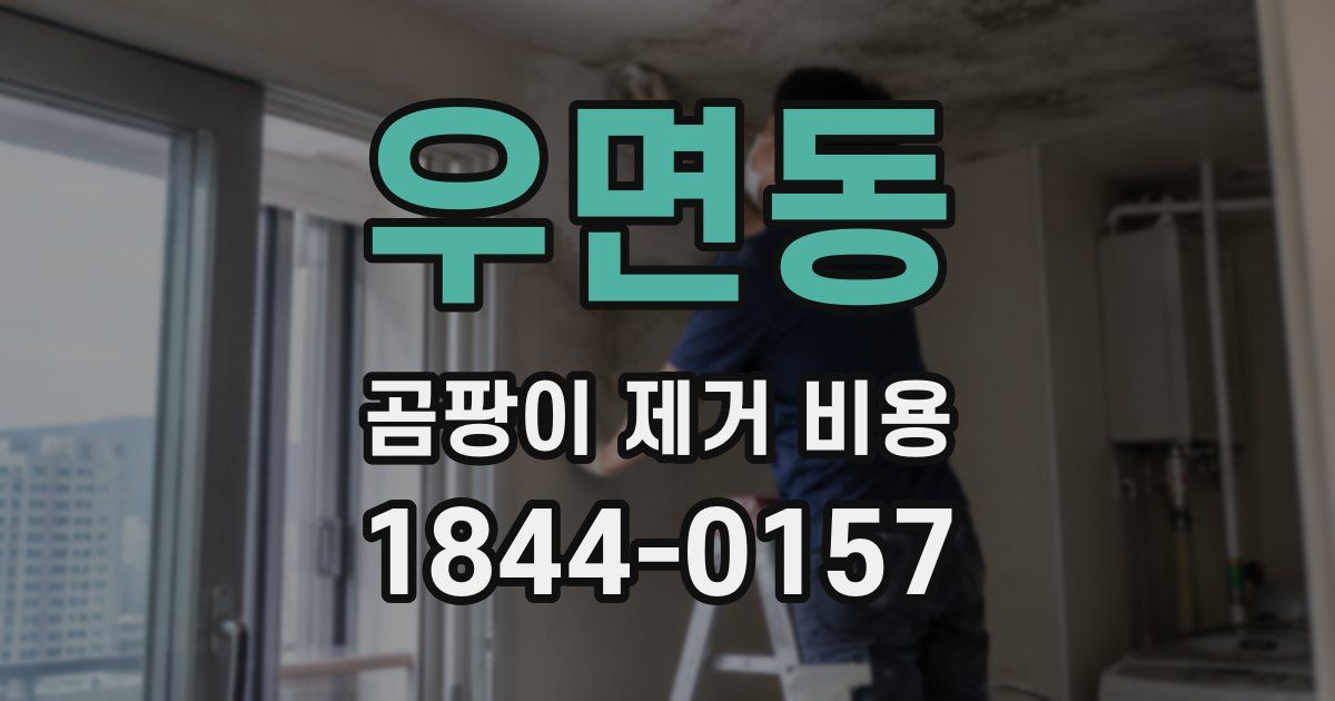 우면동 곰팡이 제거 비용