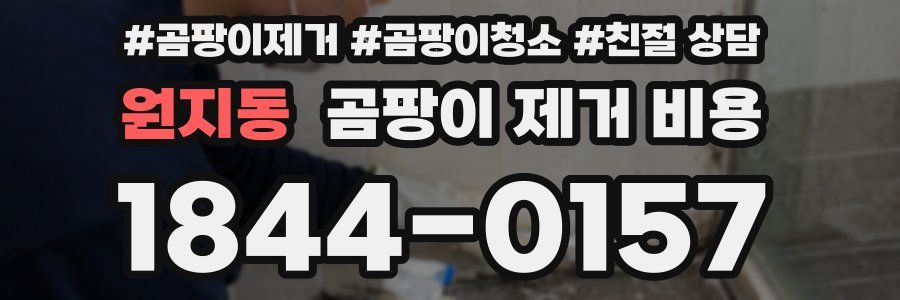 원지동 곰팡이 제거 비용