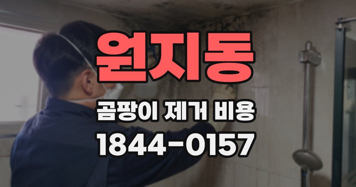 원지동 곰팡이 제거 비용