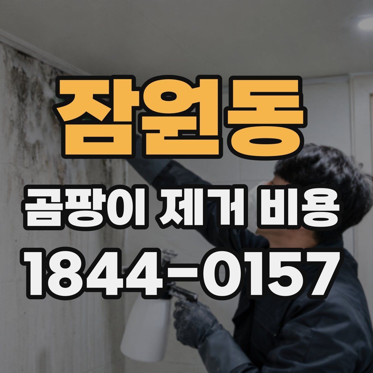 잠원동 곰팡이 제거 비용 알아볼 때 먼저 보는 기준
