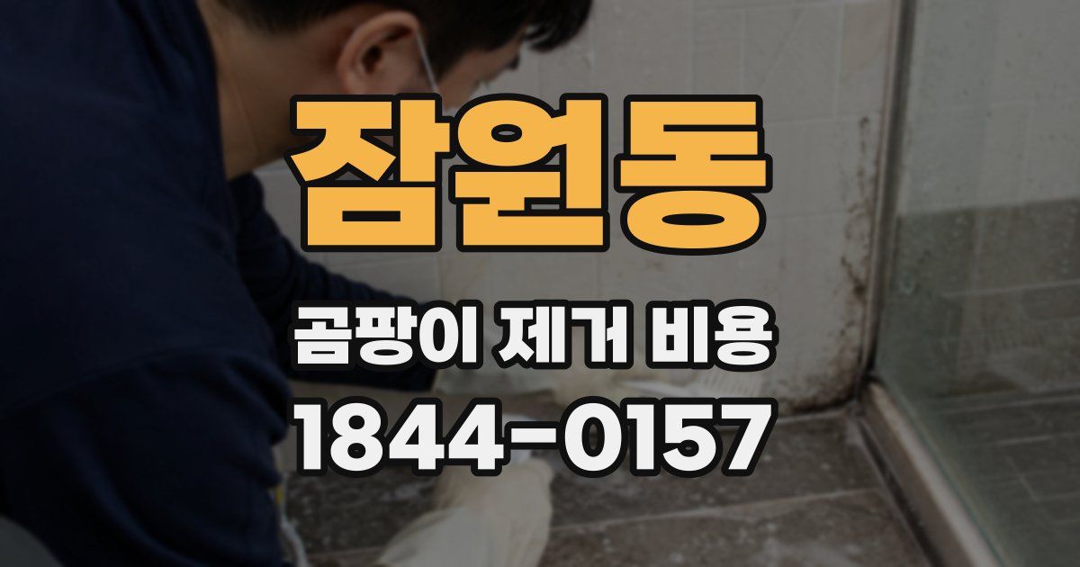 잠원동 곰팡이 제거 비용
