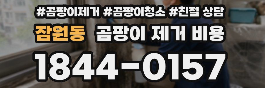 잠원동 곰팡이 제거 비용