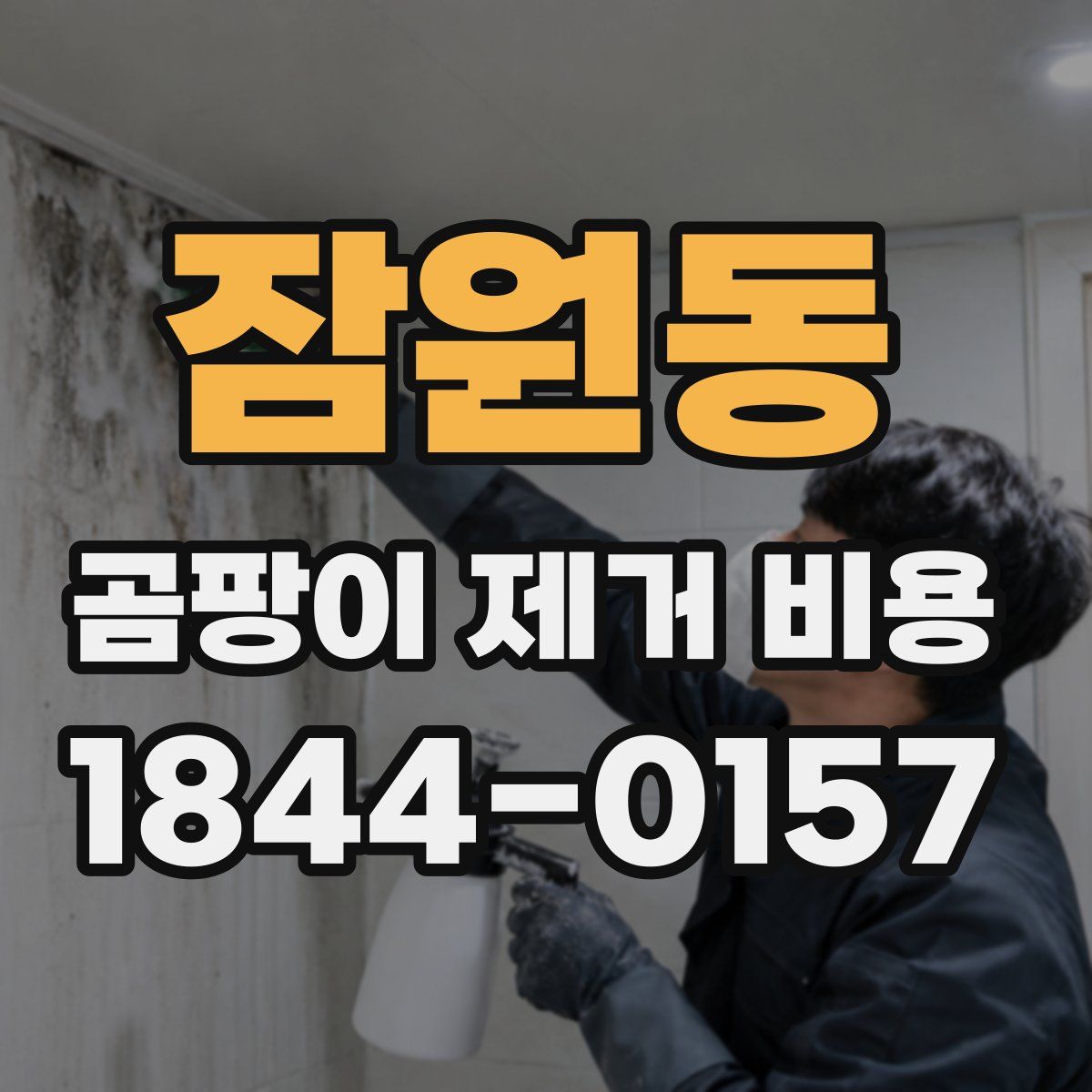 잠원동 곰팡이 제거 비용