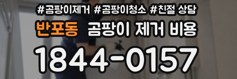 반포동 곰팡이 제거 비용