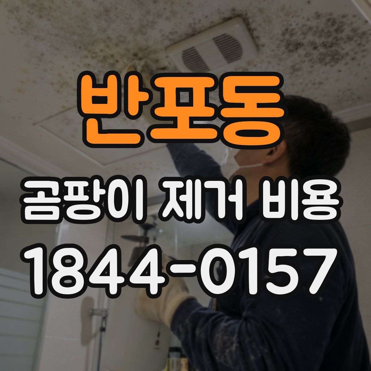 반포동 곰팡이 제거 비용