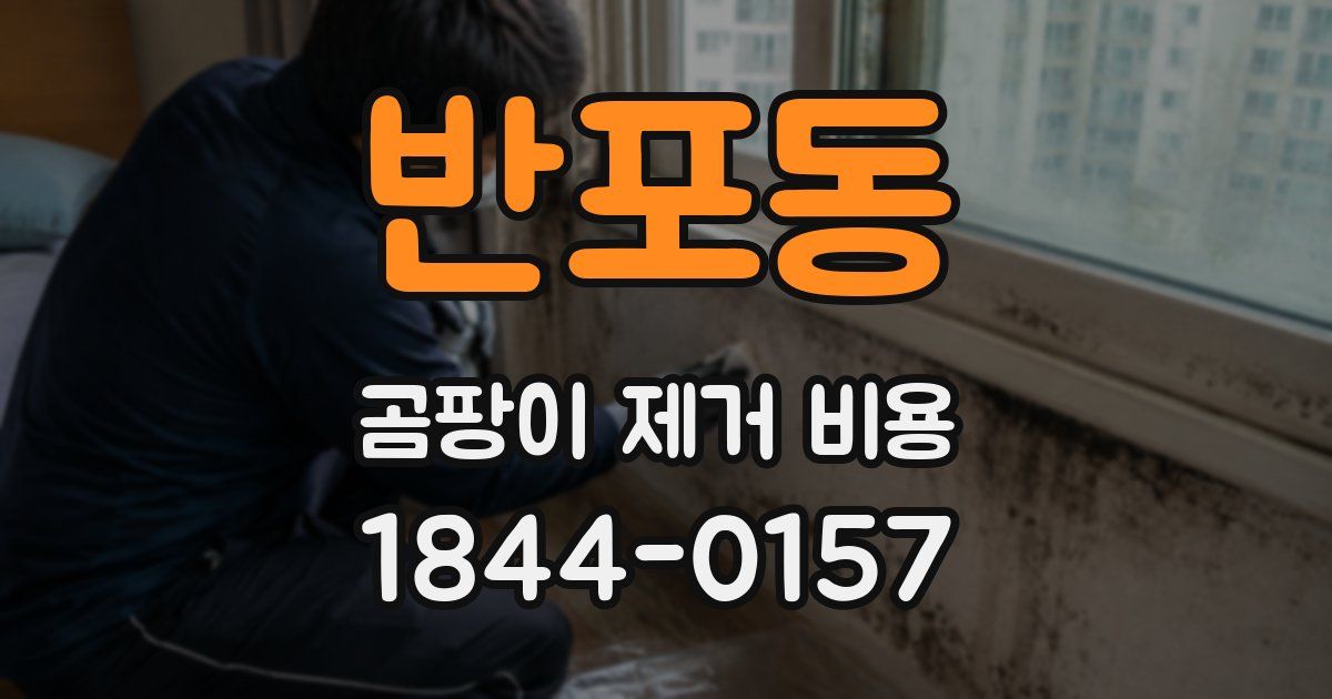 반포동 곰팡이 제거 비용