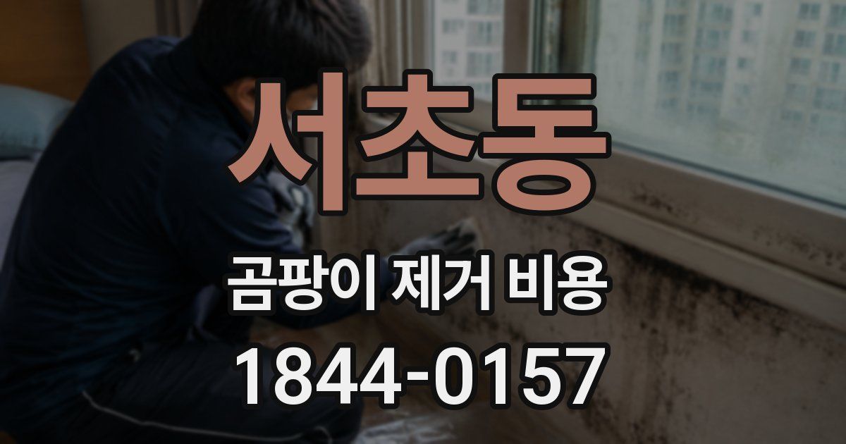 서초동 곰팡이 제거 비용