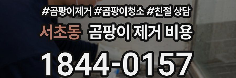 서초동 곰팡이 제거 비용