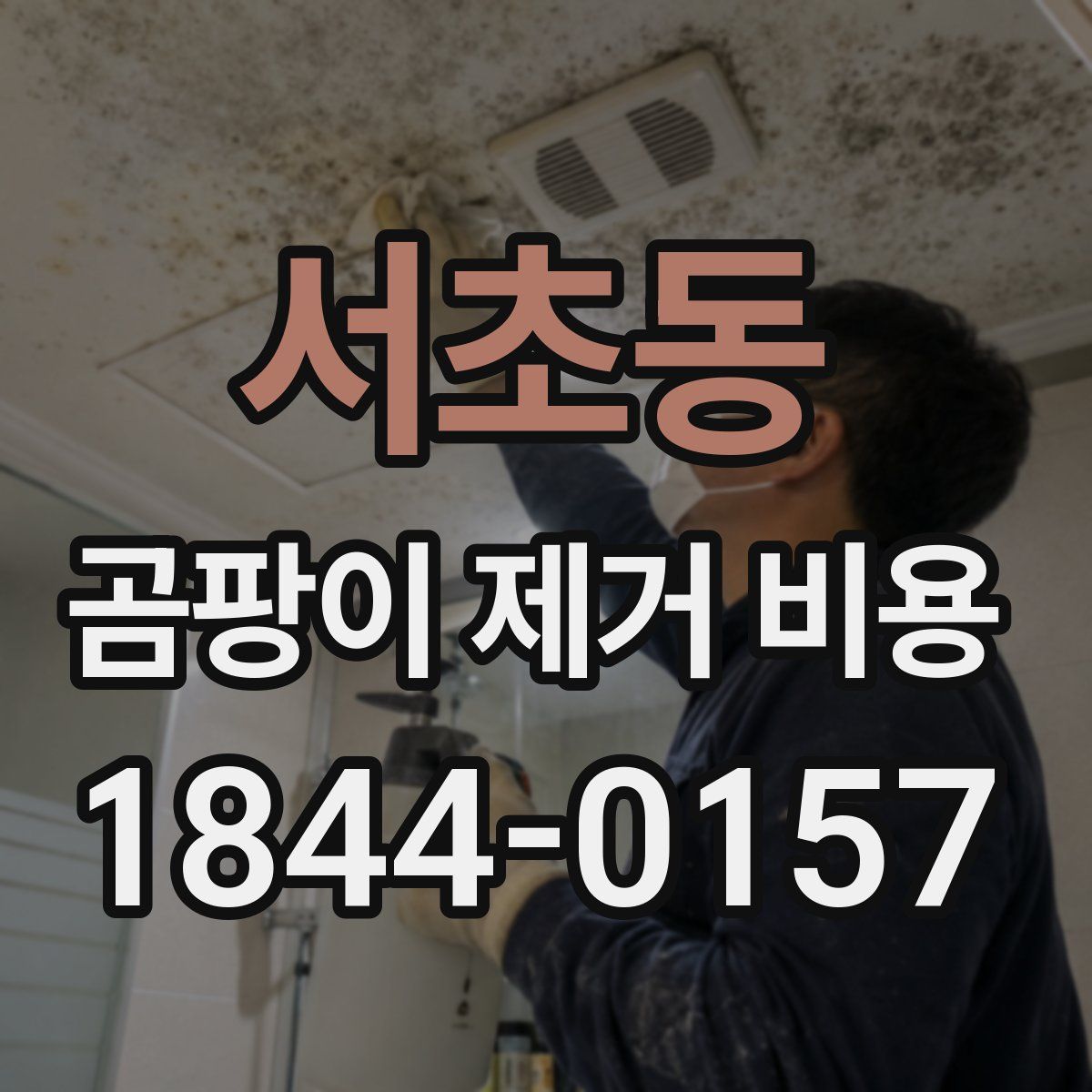 서초동 곰팡이 제거 비용