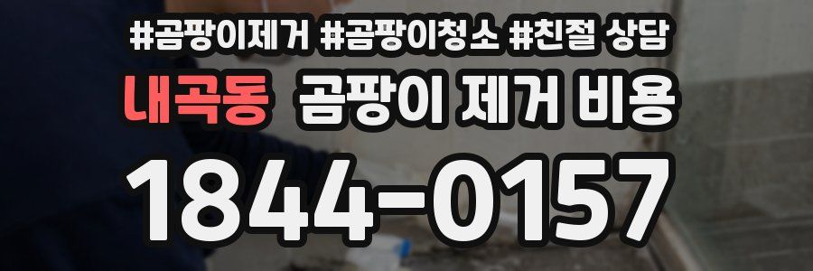 내곡동 곰팡이 제거 비용