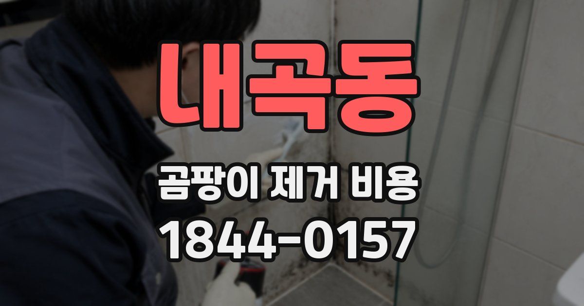 내곡동 곰팡이 제거 비용