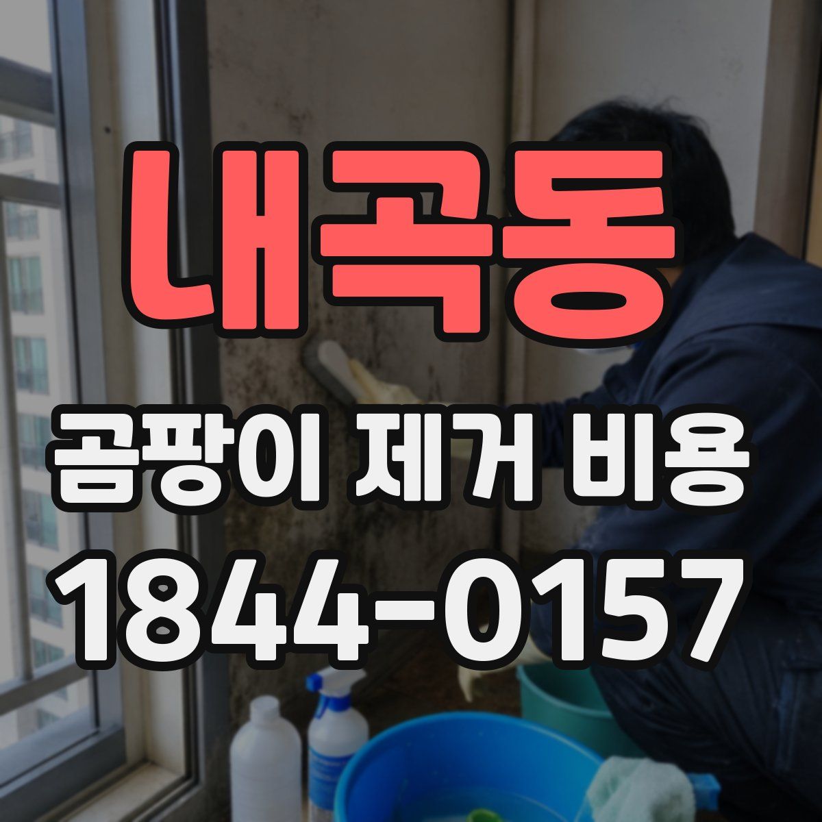 내곡동 곰팡이 제거 비용