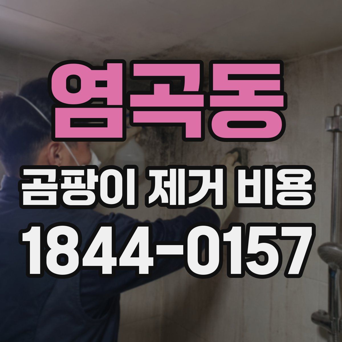 염곡동 곰팡이 제거 비용
