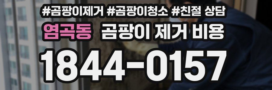 염곡동 곰팡이 제거 비용
