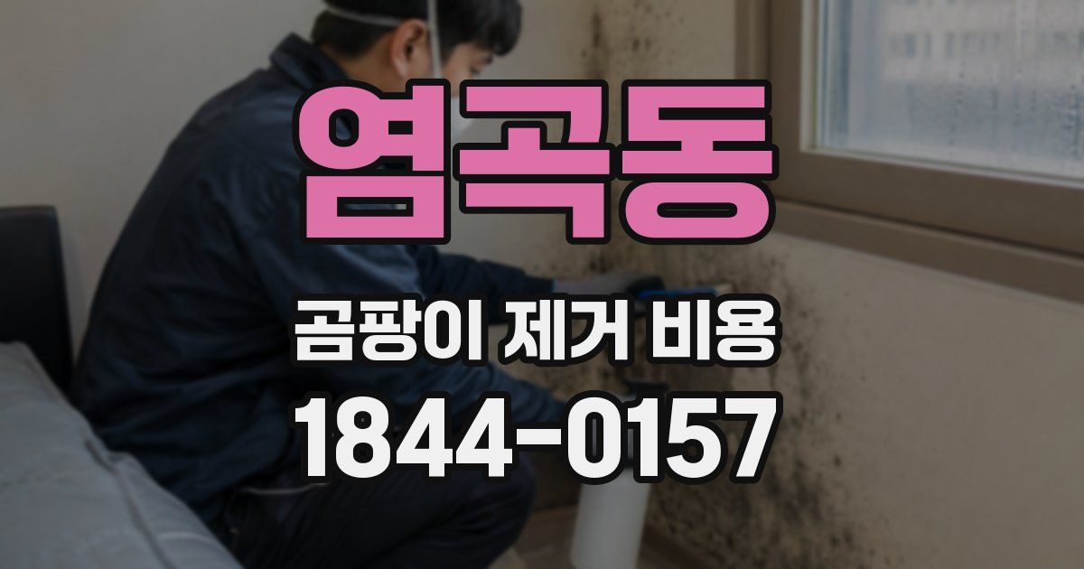 염곡동 곰팡이 제거 비용