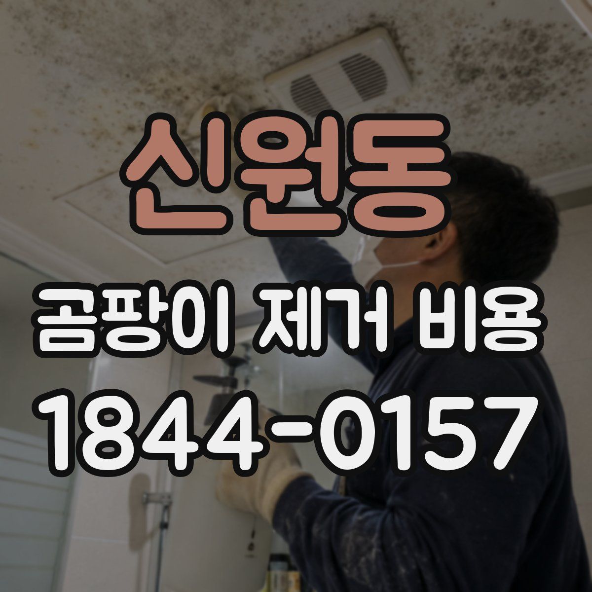 신원동 곰팡이 제거 비용