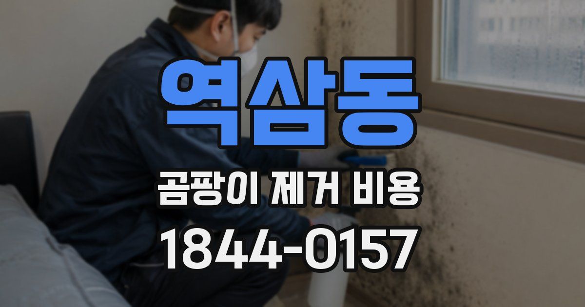 역삼동 곰팡이 제거 비용