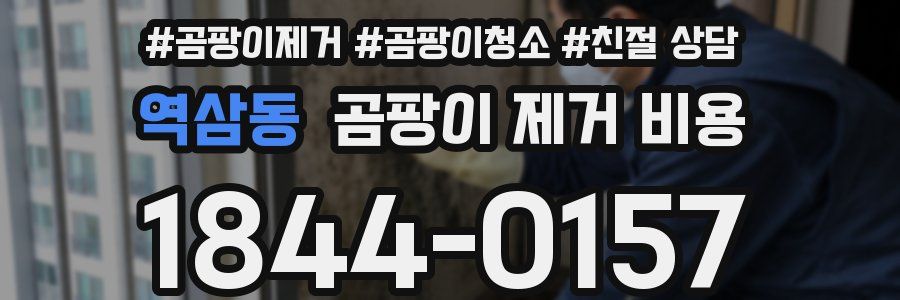 역삼동 곰팡이 제거 비용
