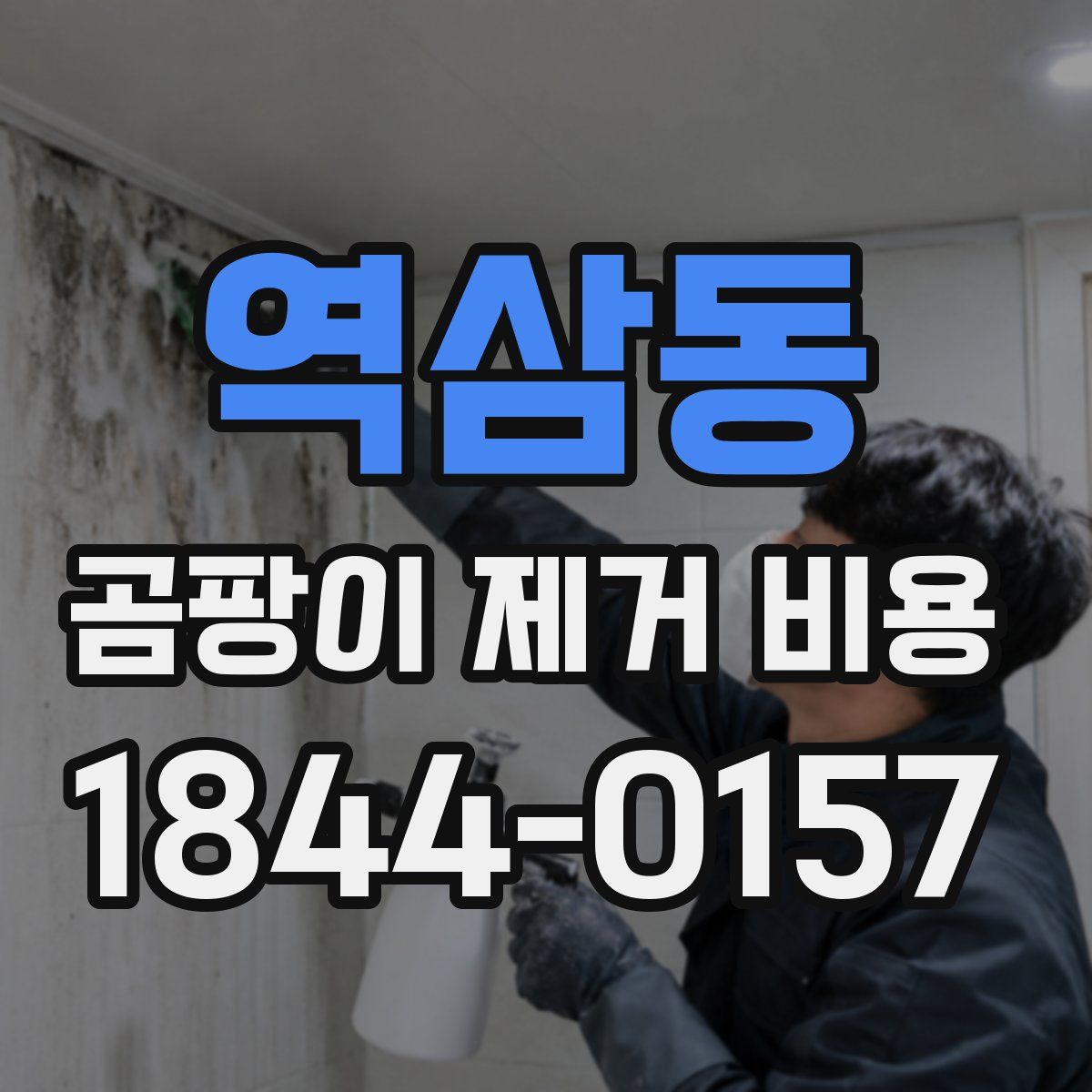 역삼동 곰팡이 제거 비용