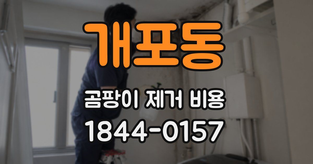 개포동 곰팡이 제거 비용