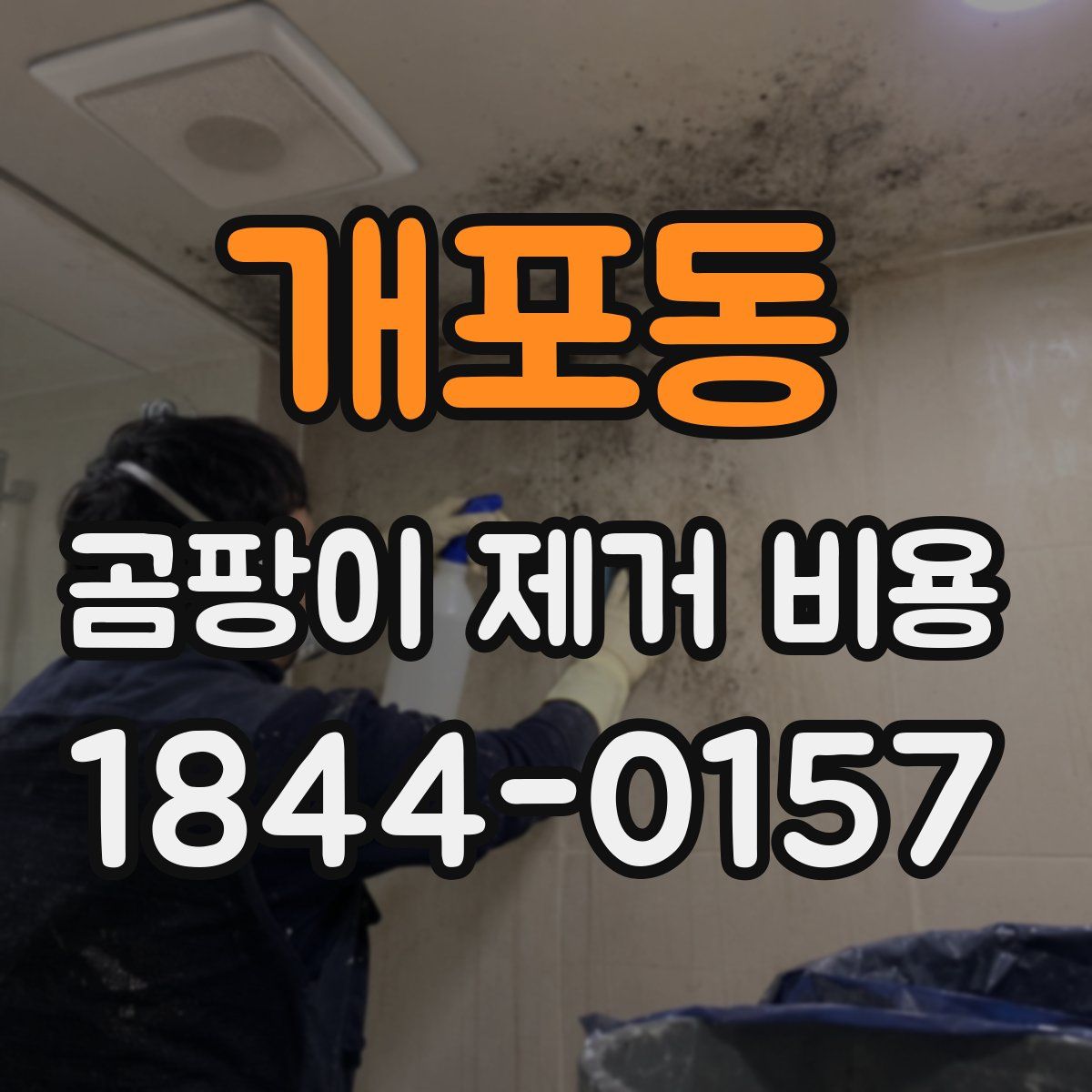 개포동 곰팡이 제거 비용