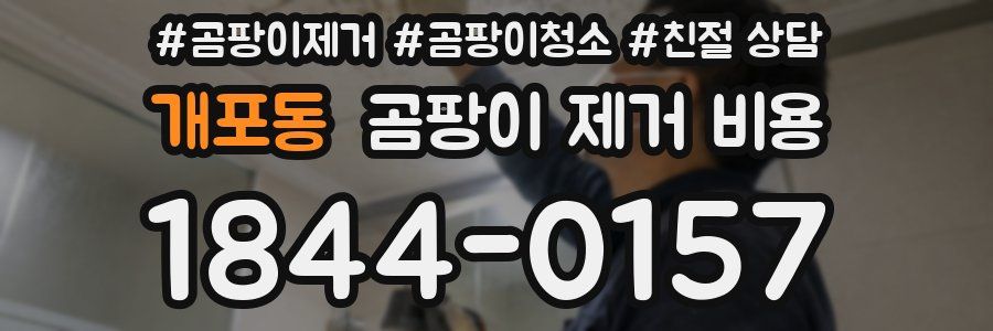 개포동 곰팡이 제거 비용