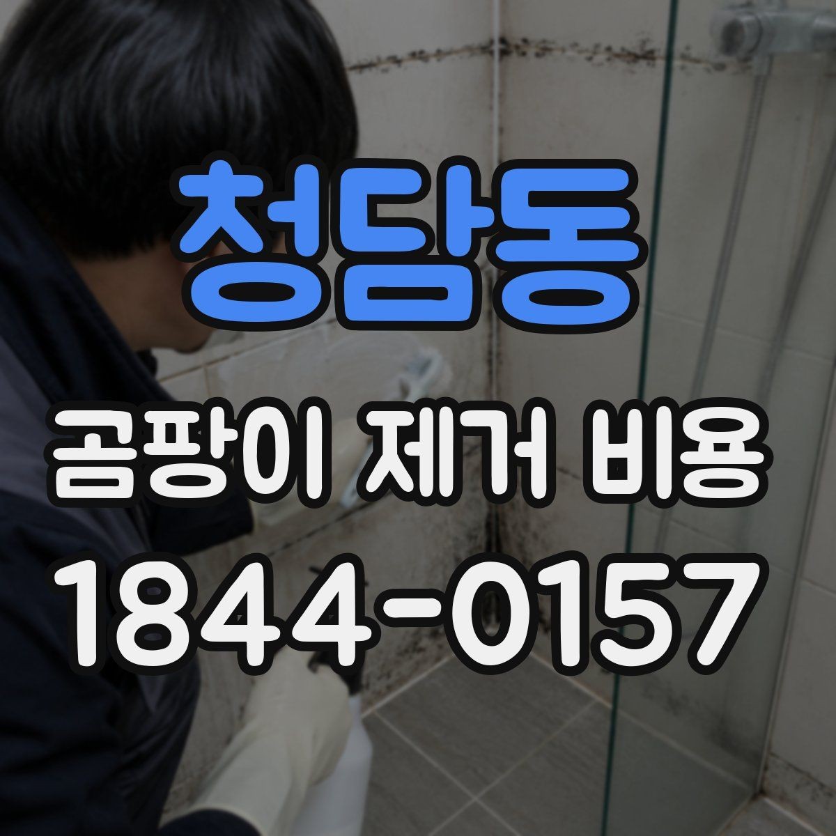 청담동 곰팡이 제거 비용 비용만 보지 말아야 하는 이유