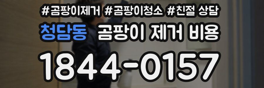 청담동 곰팡이 제거 비용