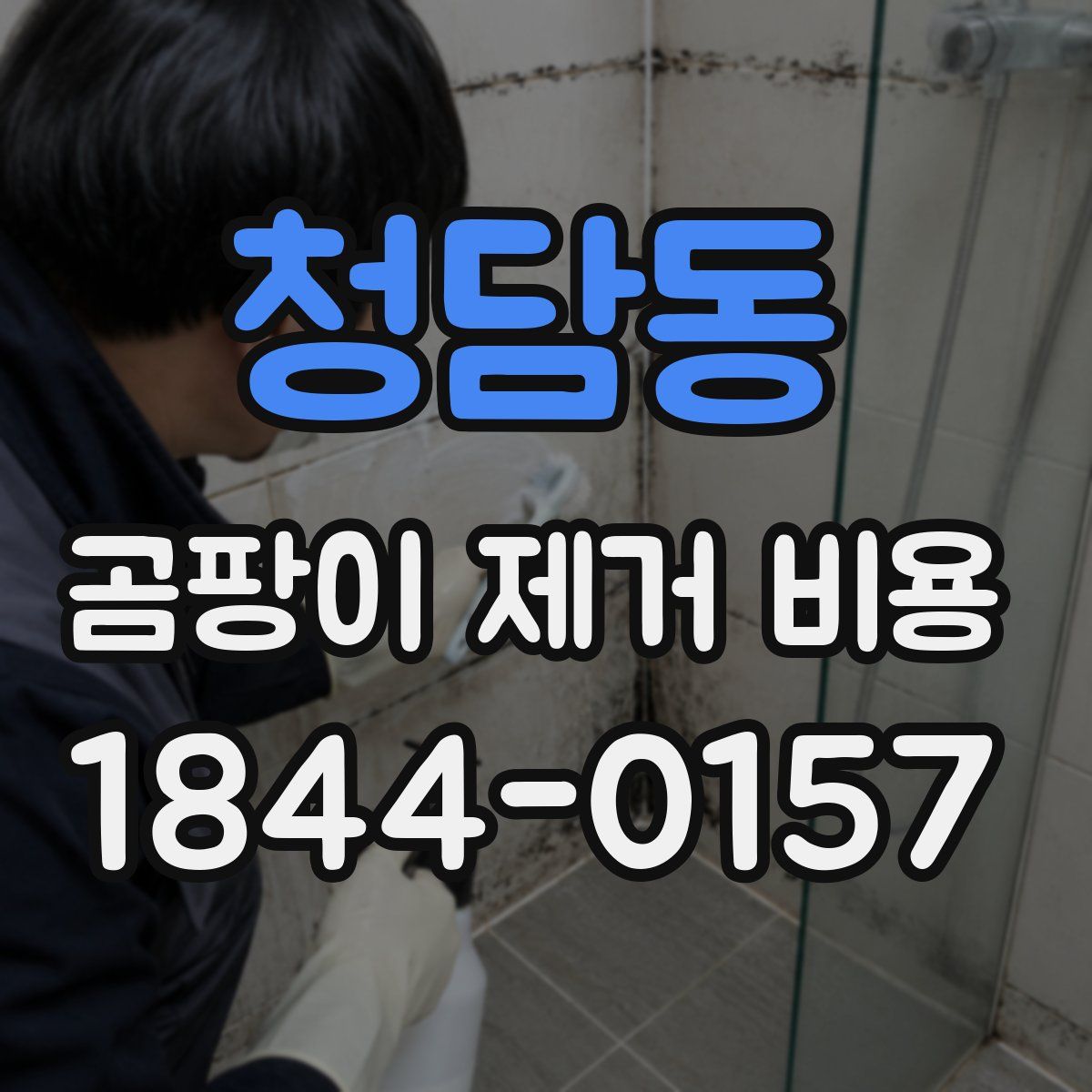 청담동 곰팡이 제거 비용