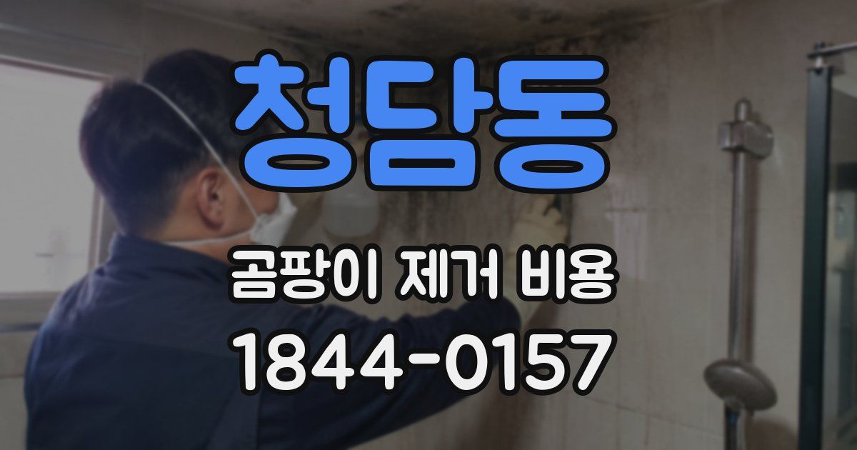 청담동 곰팡이 제거 비용