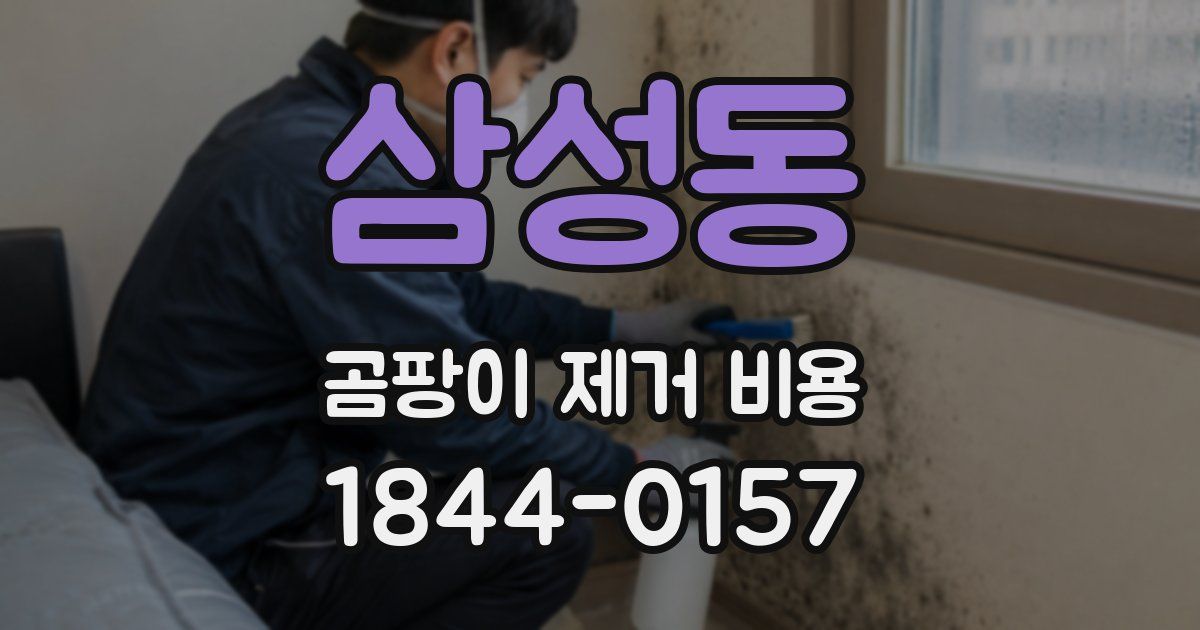 삼성동 곰팡이 제거 비용