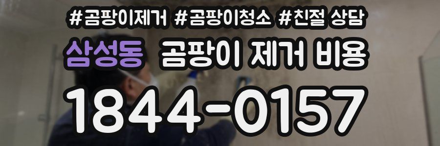삼성동 곰팡이 제거 비용