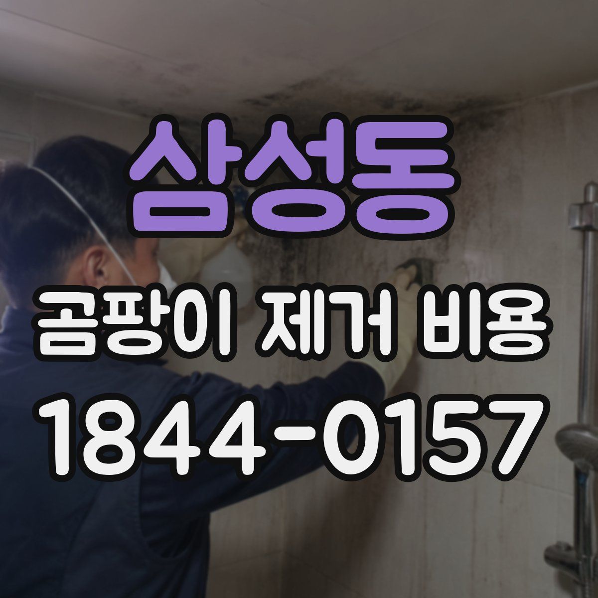 삼성동 곰팡이 제거 비용