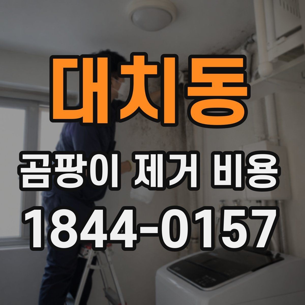 대치동 곰팡이 제거 비용 견적서에서 봐야 할 항목